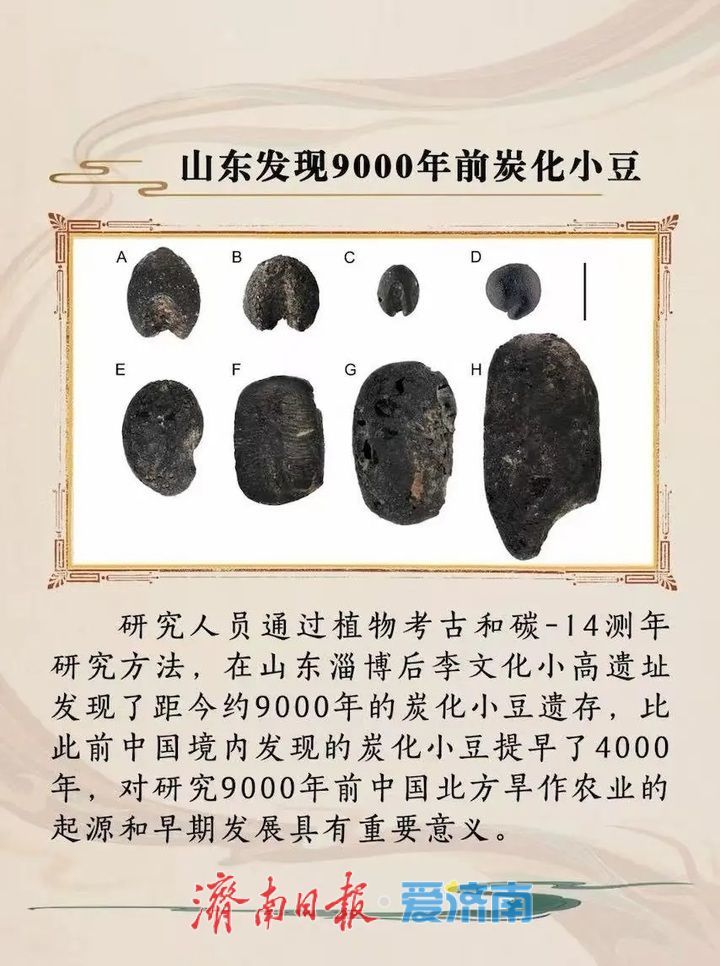 山东淄博小高遗址、山东广饶傅家遗址研究成果分别入选2025国内、国际十大考古新闻