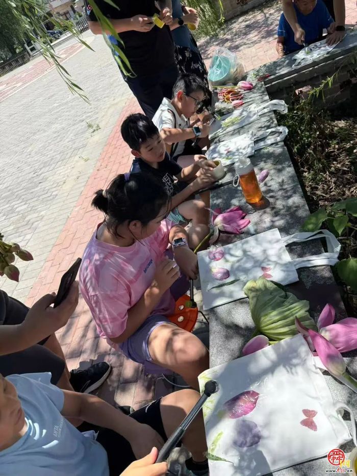 【党建融?学生成长共同体】荷风送香寻访路 章丘白云湖湿地里的“自然课堂”活力绽放?