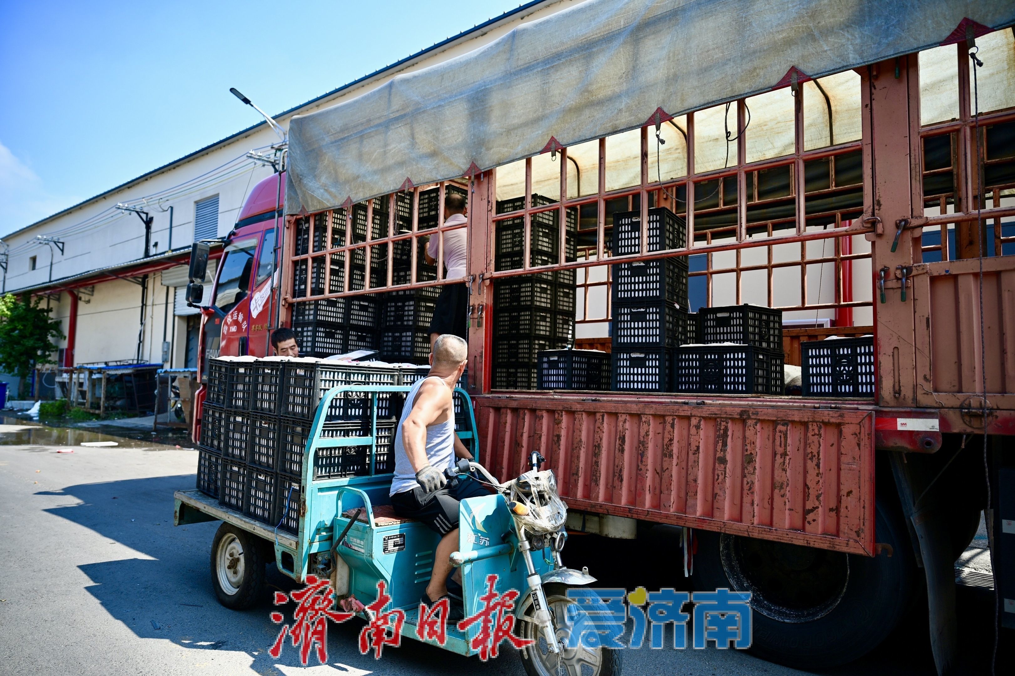 冰火两重天！济南果品搬运工直面40℃温差，守护市民夏日果盘