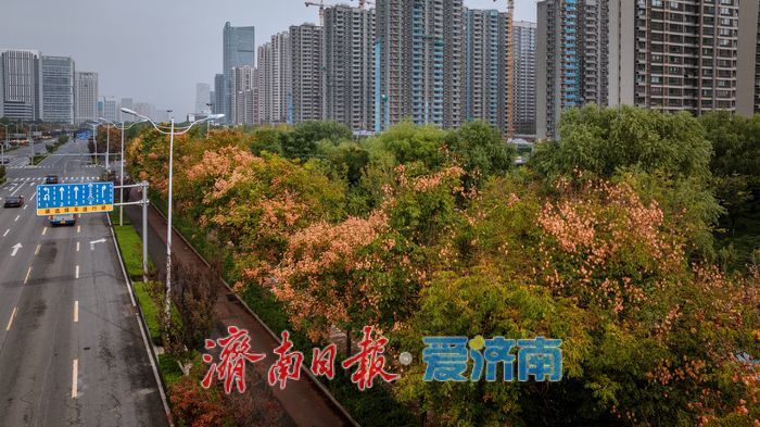 一年四季 泉在济南 