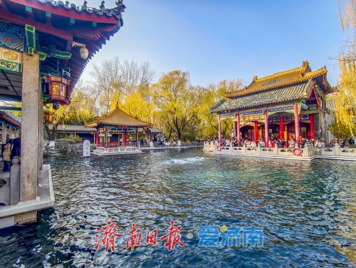 一年四季 泉在济南丨趵突泉畔冬日醉游人，今起气温再“跳水”