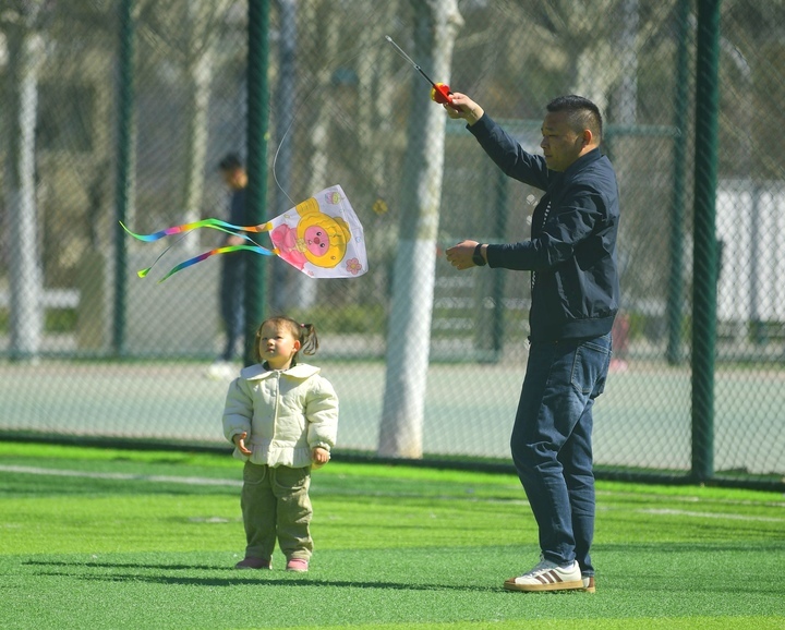 千花百卉争明媚，一城春色入眼来
