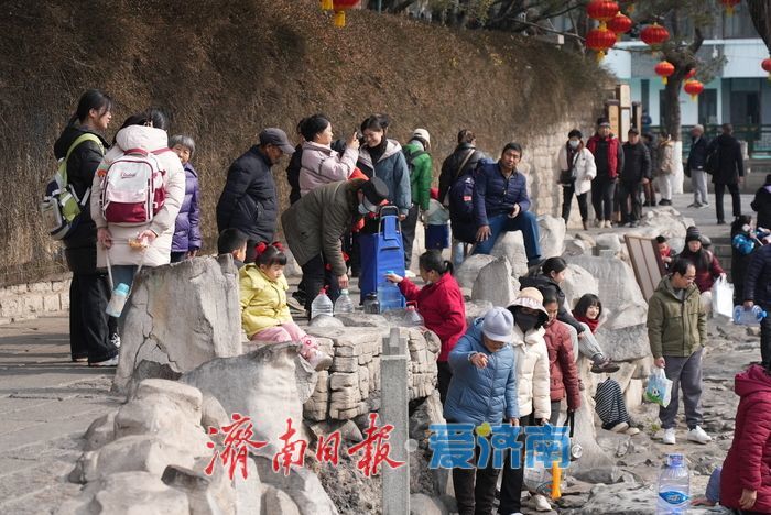 迎春花开报春来