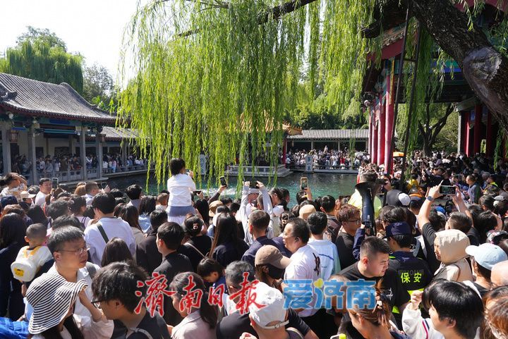 国庆假期第二天，趵突泉景区开启“人从众”模式