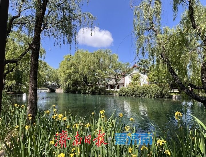趵眼｜从“景点观光”向“全域体验”，假期济南精彩纷呈