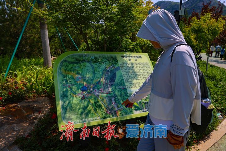 满目青翠入画来！佛慧山生态廊桥铺就泉城生态绿廊