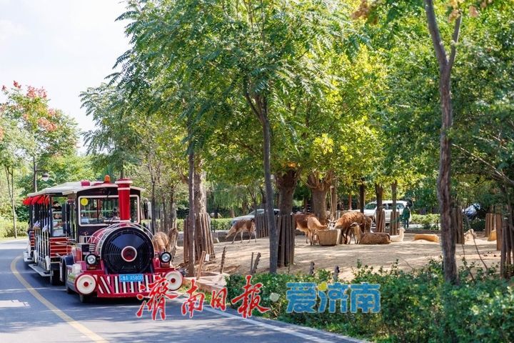 提前剧透｜济南野生动物世界马戏嘉年华重磅升级，承包你五一假期的欢乐！