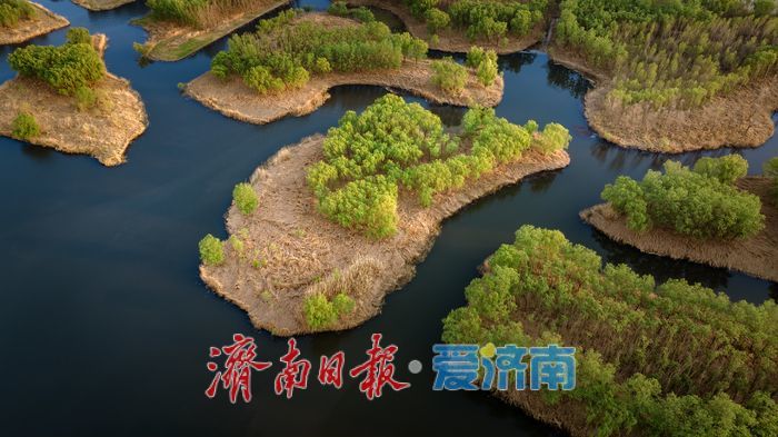 水天一色！济南小清河源头湿地公园邂逅绝美落日