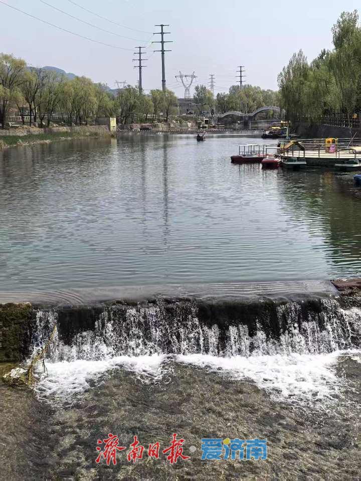 一年四季 泉在济南丨济南锦阳川河水潺潺春色浓 山水画卷引客来