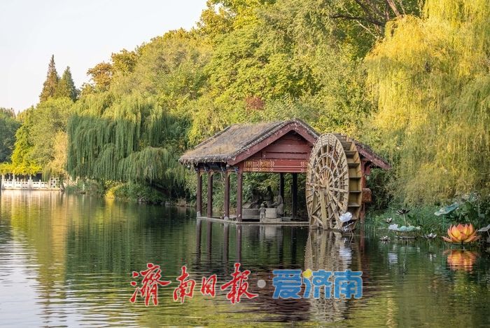 护城河畔秋色正好，市民乐享泉畔慢生活