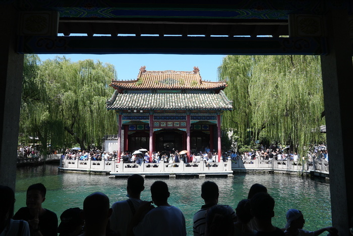 “泉”在济南过暑假｜水位“十连涨”！济南“趵突腾空”胜景重现