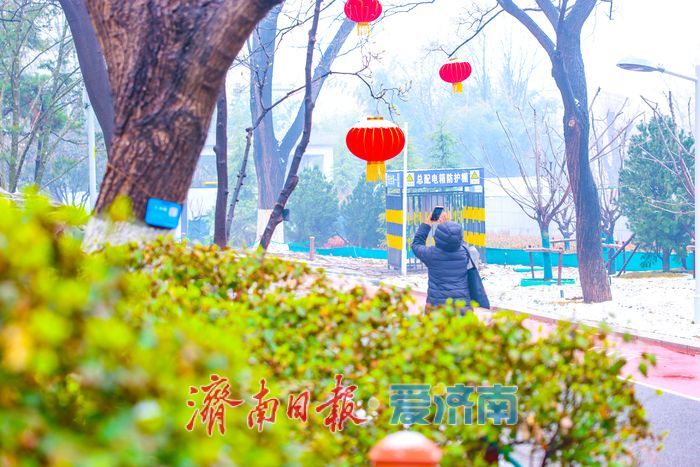 雪落泉城春意闹 新年盛景入画来