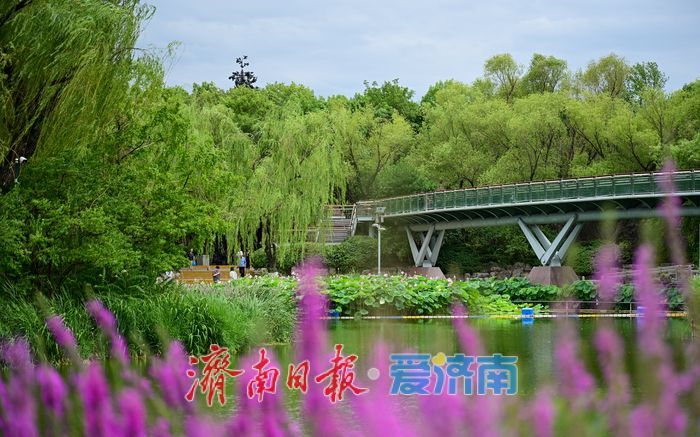 一年四季 泉在济南丨游泉城公园，静享城市“慢生活”