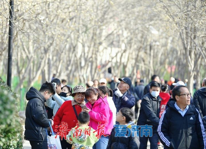 繁花作序 市井成歌 百花公园玉兰市集演绎春日“花漾”盛宴