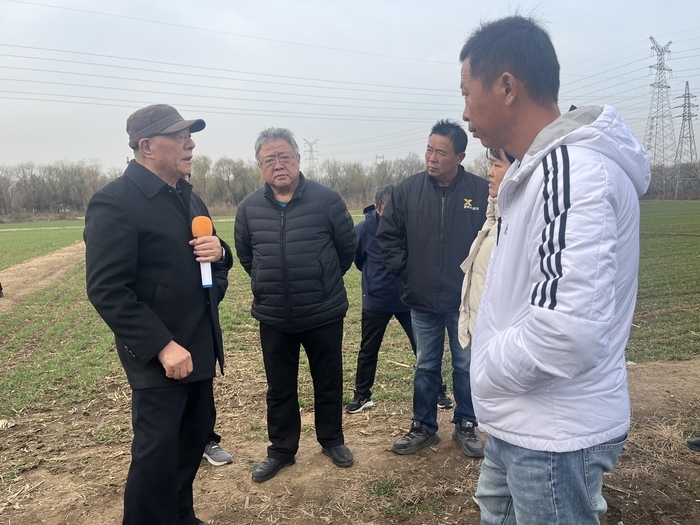越冬小麦如何管理？听农业专家来支招