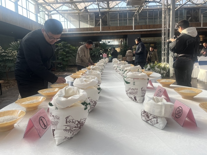 38个品种同场竞技，这场香气扑鼻的黄河大米争霸赛“杠赛来”