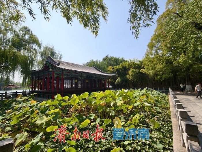 秋风送爽满明湖 一城秋色引游人