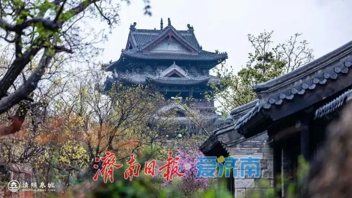 抓住假期的尾巴！济南这波春日快乐，今天必须赶上！