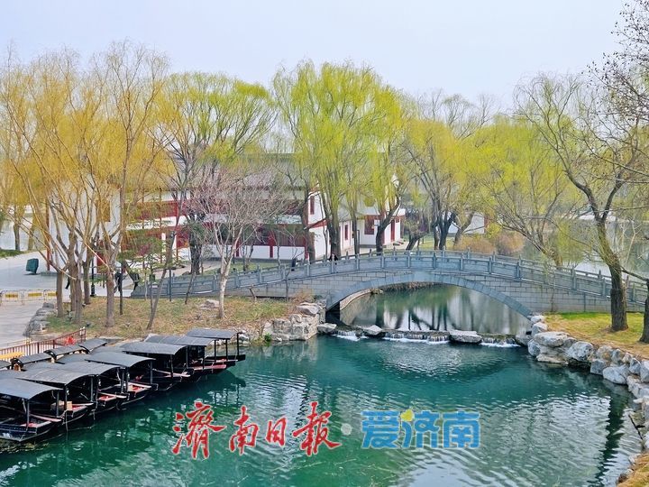 一年四季 泉在济南丨春日明水古城旖旎如画 泉韵文脉绘就江南画卷