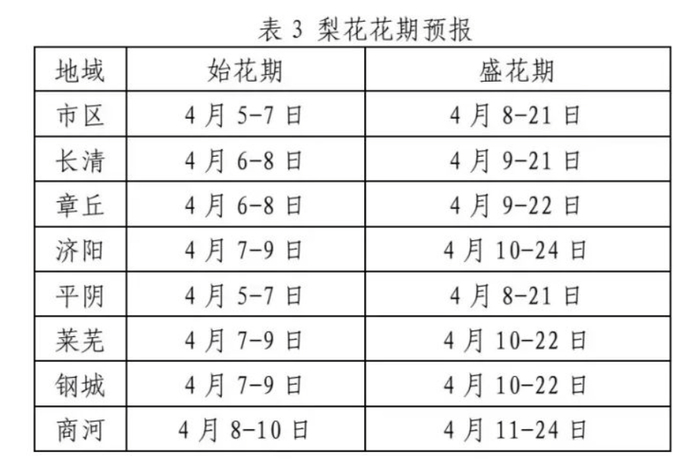 “泉”在济南过五一｜济南发布新花期预报：碧桃花、桃花、梨花始花期较常年略偏晚