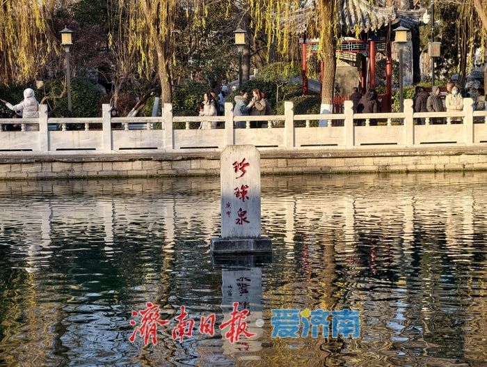 济南珍珠泉碧水锦鲤醉游人