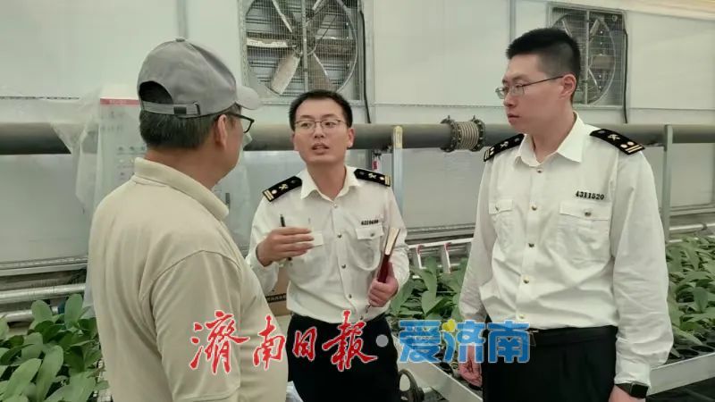 每年出口约60万支鲜切花，商河鲜花香飘海外
