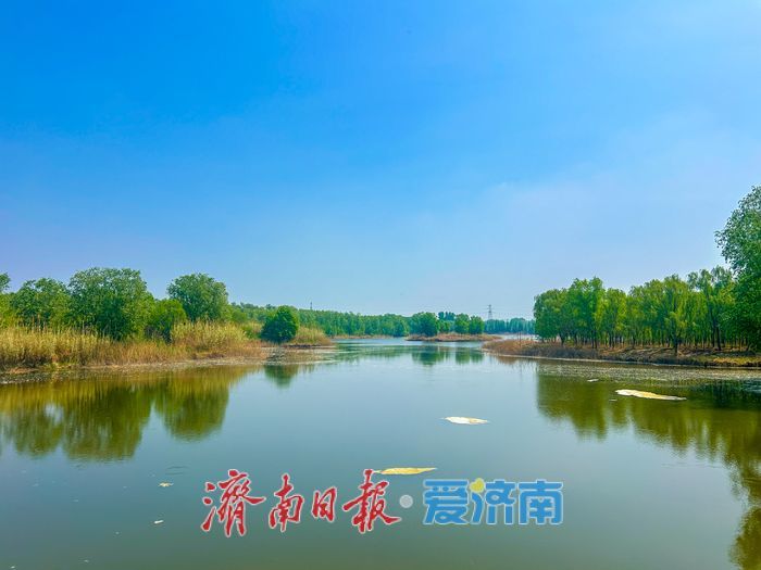 一年四季 泉在济南丨济南睦里闸春日生态画卷徐徐舒展