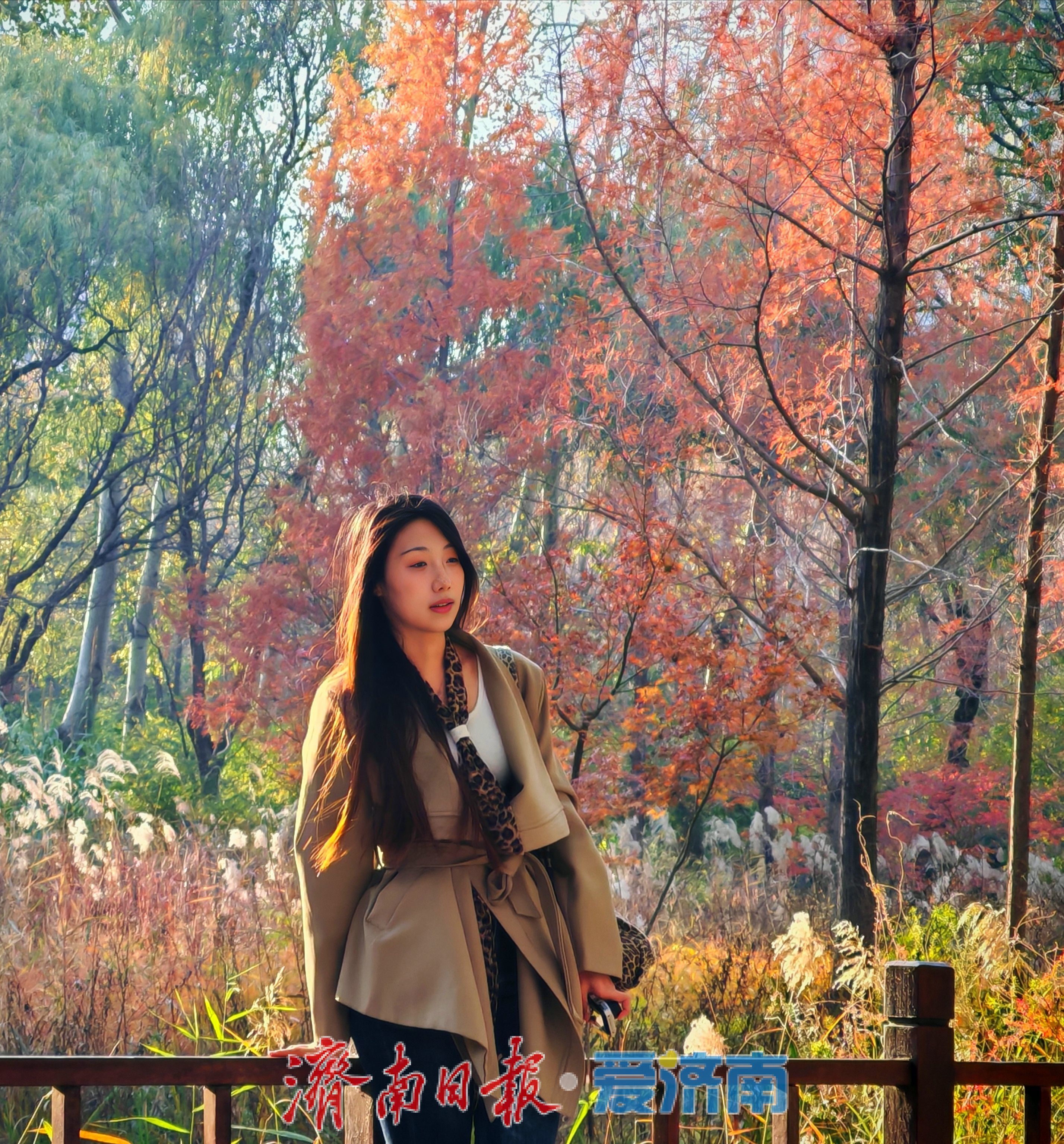 一年四季 泉在济南丨济南森林公园水杉林“红”了，这份惊艳藏不住了！