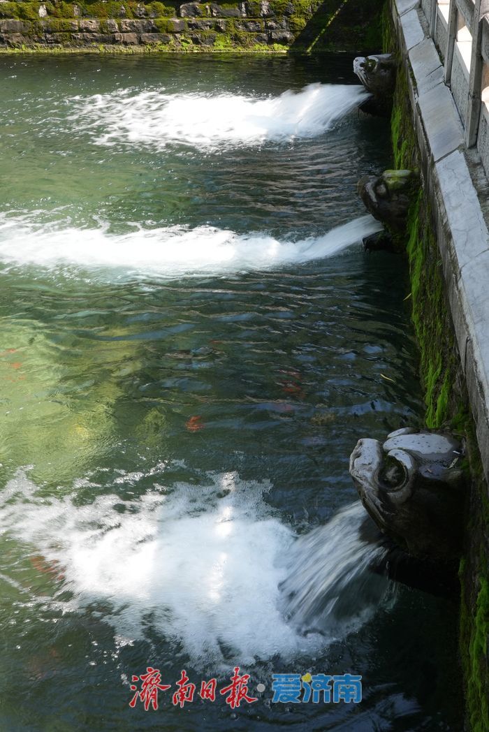 黑虎泉水位实现“九连涨”，创年内新高