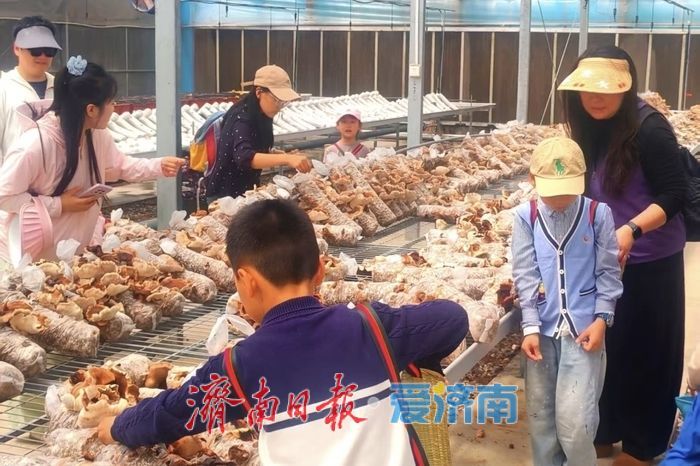 济南东部新添一处农耕主题乐园