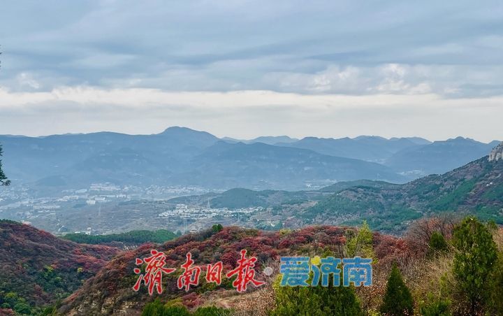 一年四季 泉在济南丨红叶盛放，群山环抱引客打卡