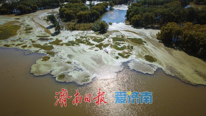 一年四季 泉在济南丨雨润玉符河 ，水位上涨绘就生态新景