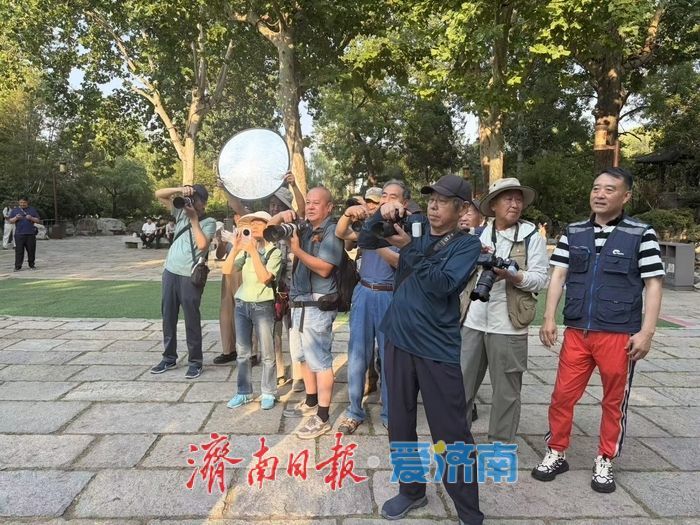 不收费，只拍照——大明湖畔有群免费帮游客留影的人