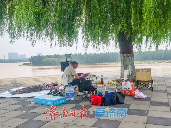 黄河生态风貌带，泉城人家的“天然凉棚”