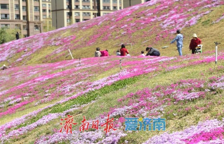 假期最后一天，济南这些地方不要错过！