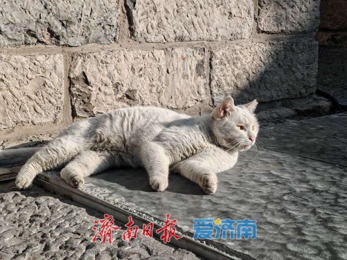 冬日暖阳点亮济南百年上新街，老城烟火与潮流气息在晴空下交融