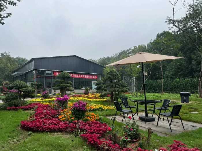 秋日限定！济南公园景区邀你共赴美好之约