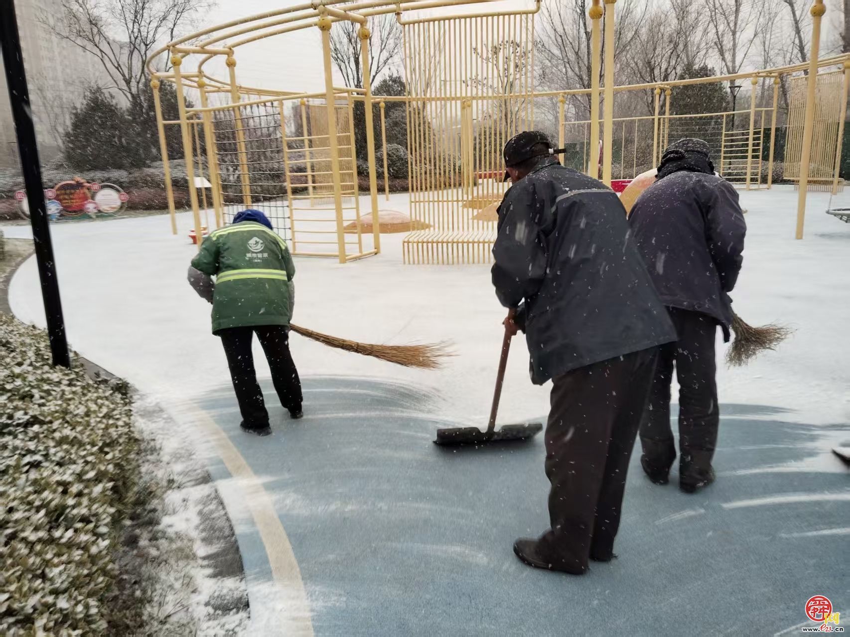 济南园林和林业绿化系统积极应对寒潮雨雪天气