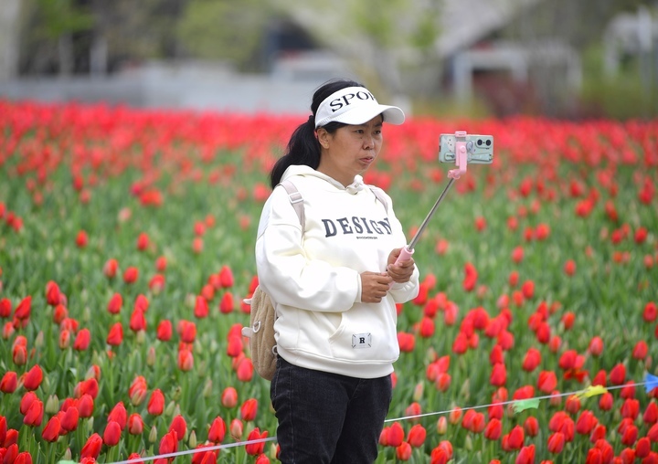 春花烂漫时，“郁”见你真好