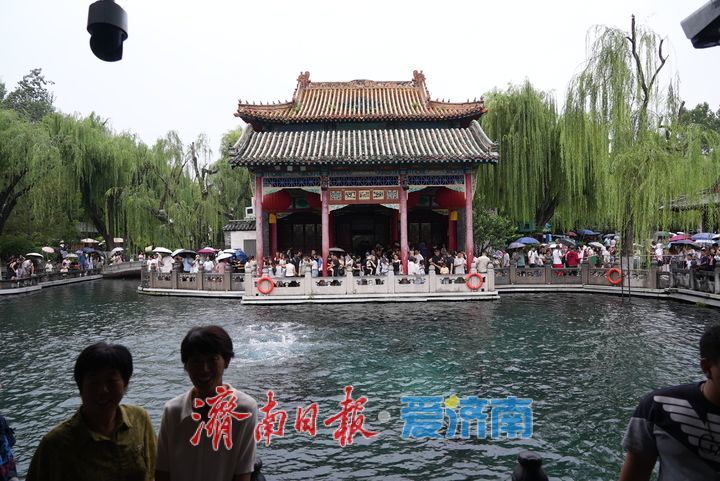 一年四季 泉在济南｜烟雨“济南府”赛江南 雨中泉水游别样体验
