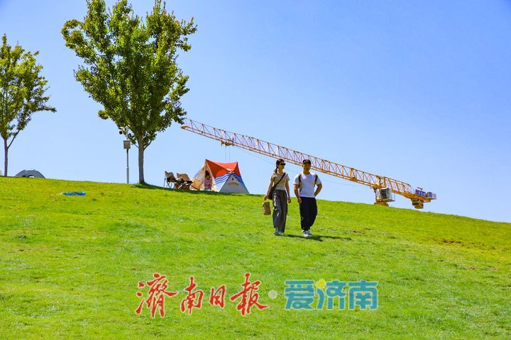晴空映绿意 周末趣时光