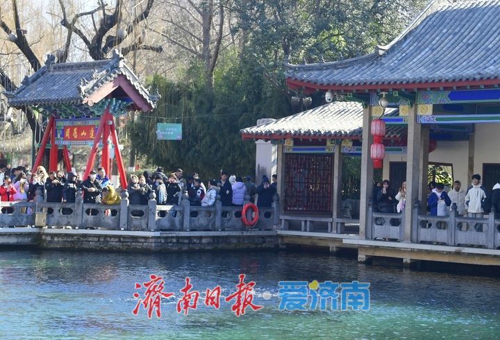 “三股水”生生不息，趵突泉今冬喷涌不竭