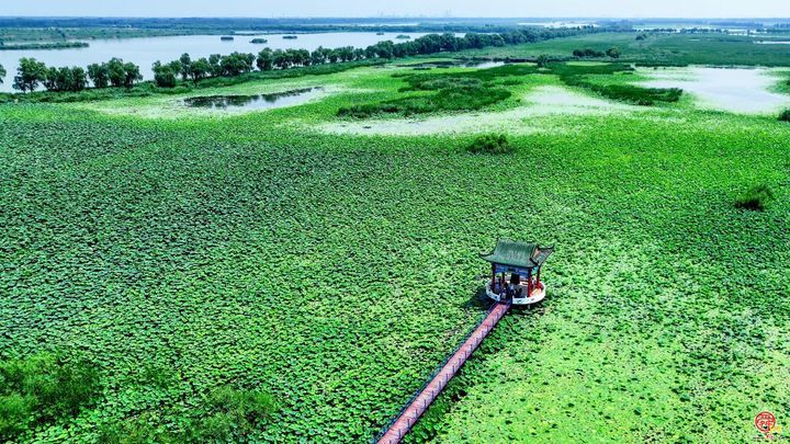 【一条路·一座城】⑥章丘：未来之路！