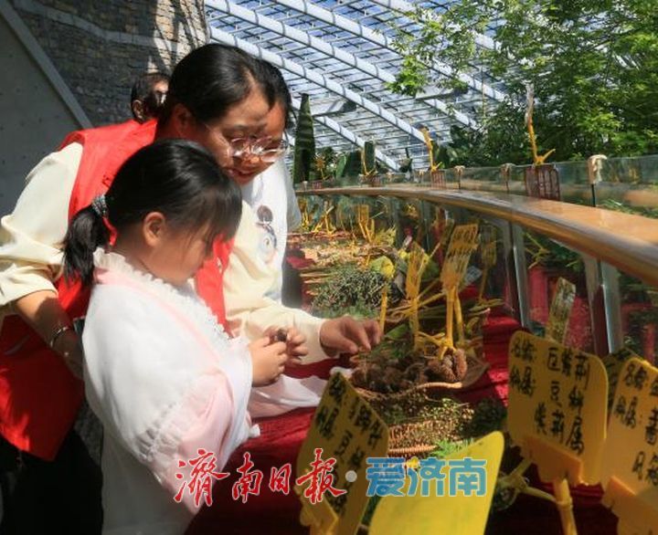 “游览”到“体验”，在假期遇到济南园林的惊喜