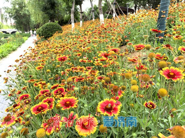 一年四季 泉在济南丨漫步、垂钓、赏景！腊山河畔邂逅初夏美好时光