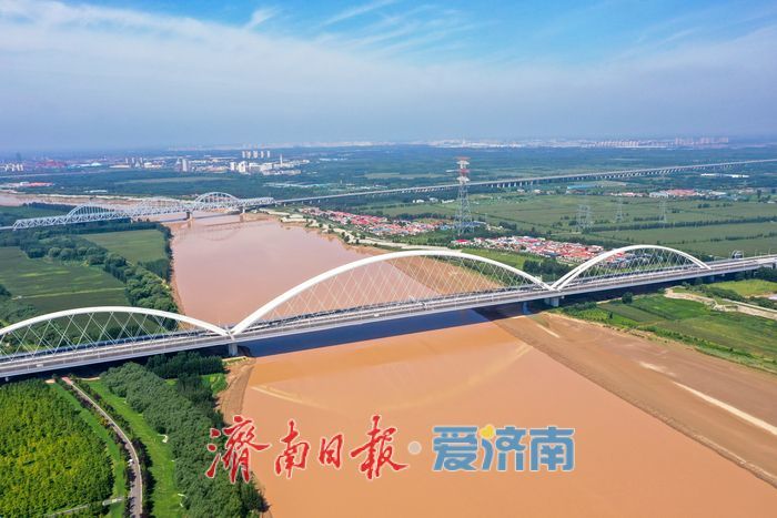 金色长廊映黄河，济南百里生态画卷徐徐展开