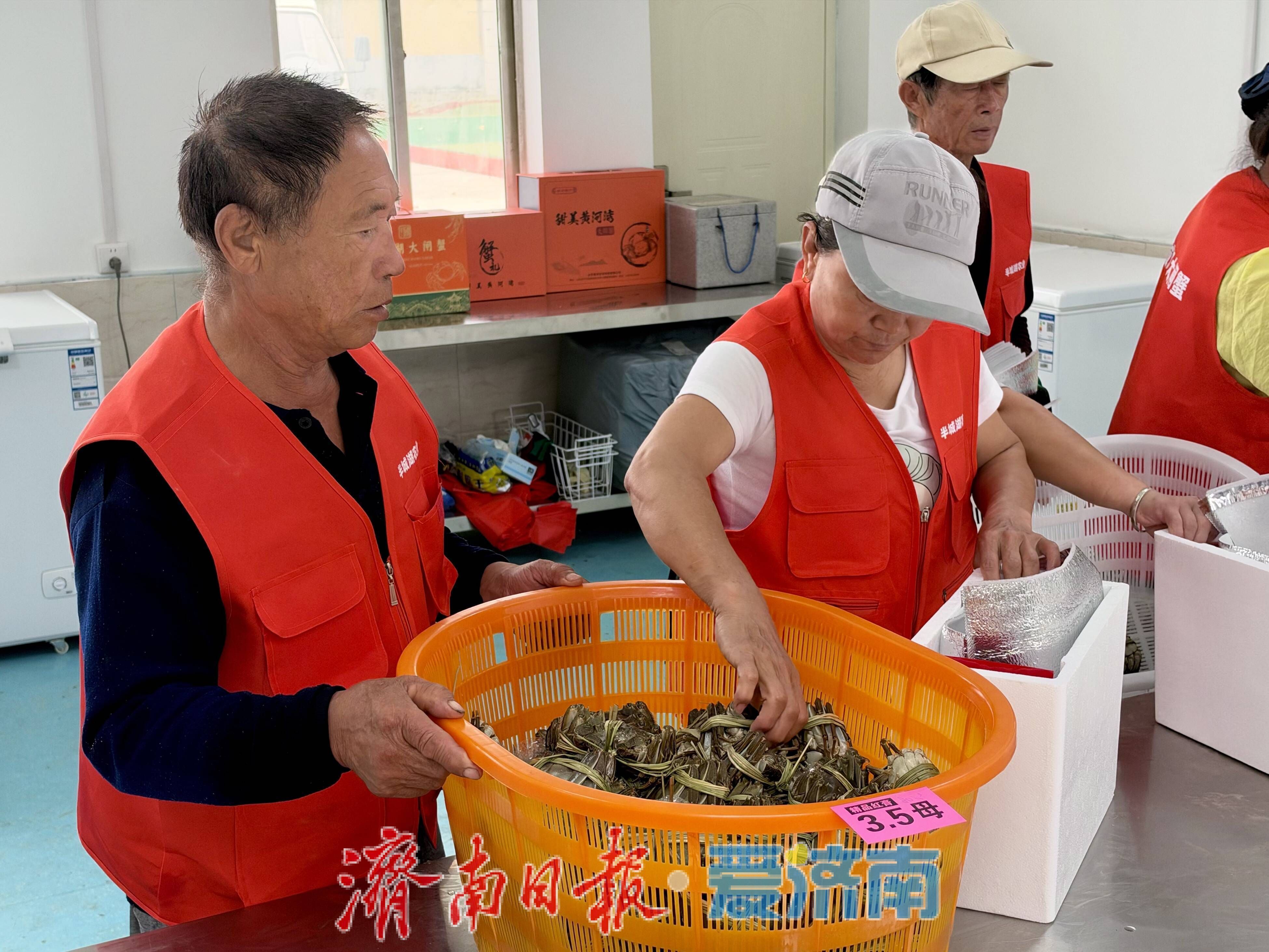 济南首个渔光互补项目迎丰收 大闸蟹产品已陆续上市