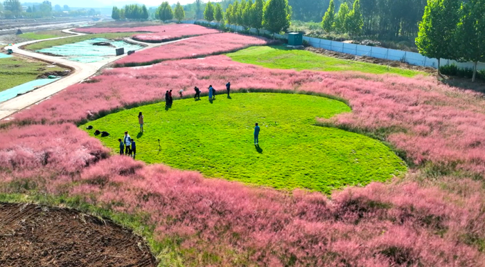 山泉花海为盟，“打卡”济南“公园式”婚姻登记点