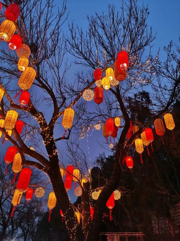 “泉”在济南过大年｜6666盏花灯“点亮”新春，夜晚的千佛山也精彩！