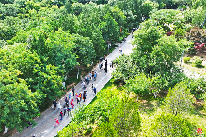 驻济高校学子携手护生态！济南“一城山色”生态守护志愿服务暨“信用记录关爱日”登山打卡活动启幕